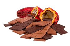 SLENDER - Chocolateria Dietética, Geles Reforzados y Otros