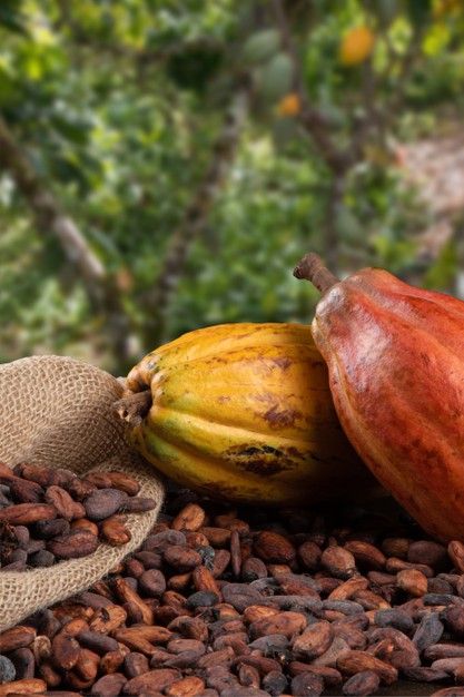 ¿Sabías que el chocolate Slender sin azúcar puede ser igual de delicioso?
