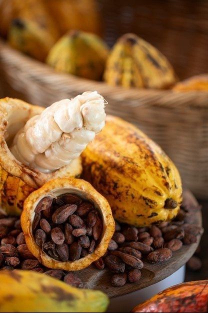 Beneficios del cacao para tu cuerpo